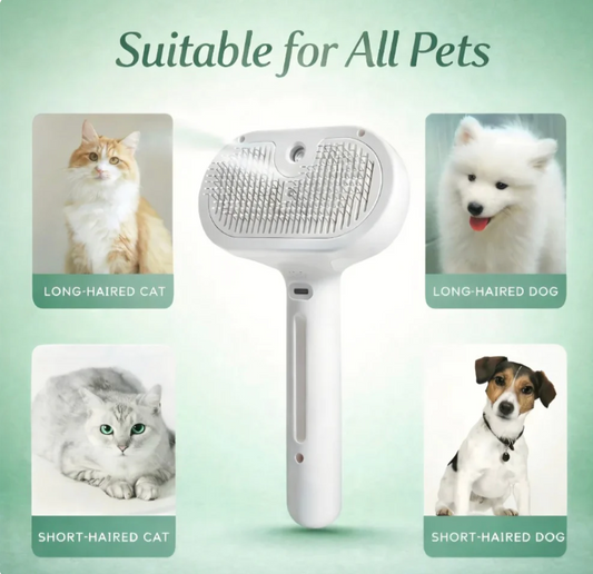 Brosse à Vapeur 2-en-1 pour Animaux